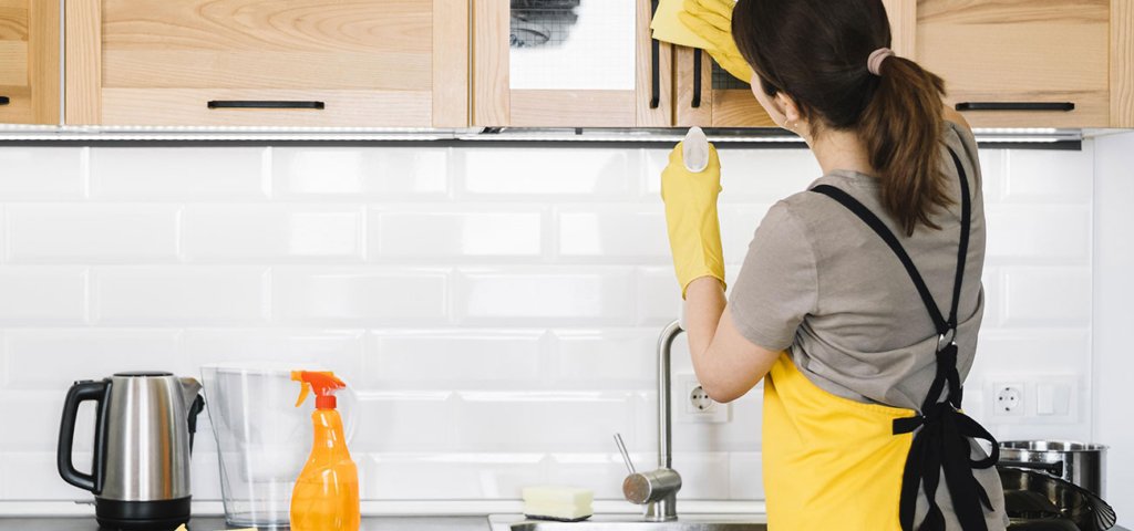 Aliadas De La Limpieza Servicio Sacudir 1024x480