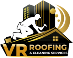 logo vr final